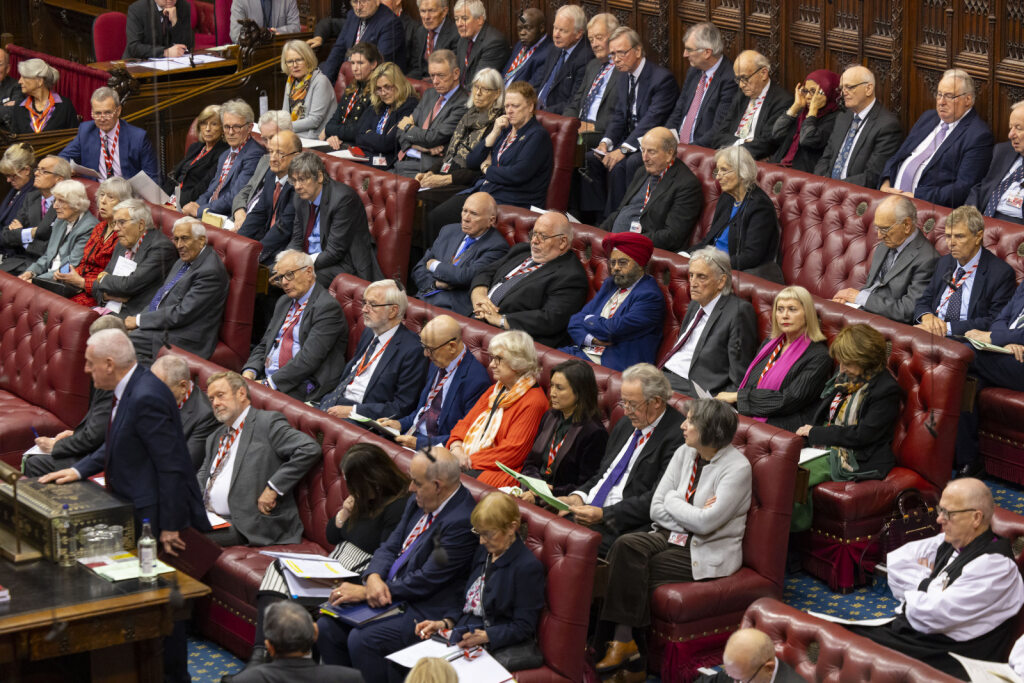 (사진=영국 상원)