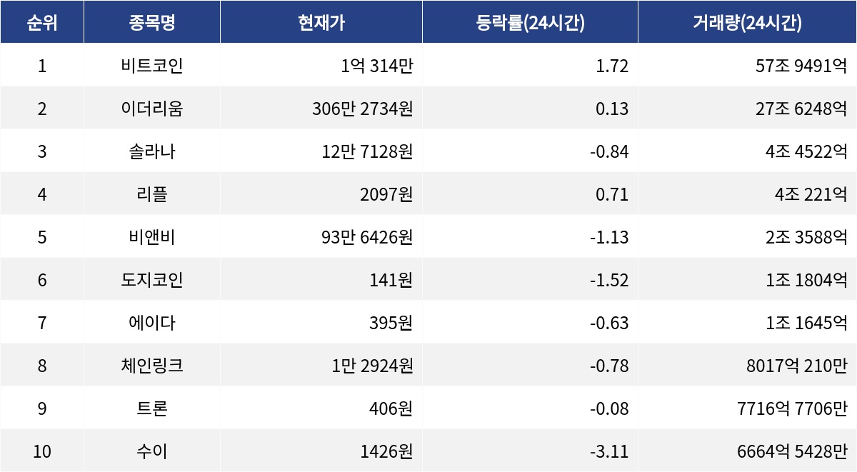 ▲자료제공=MetaVX