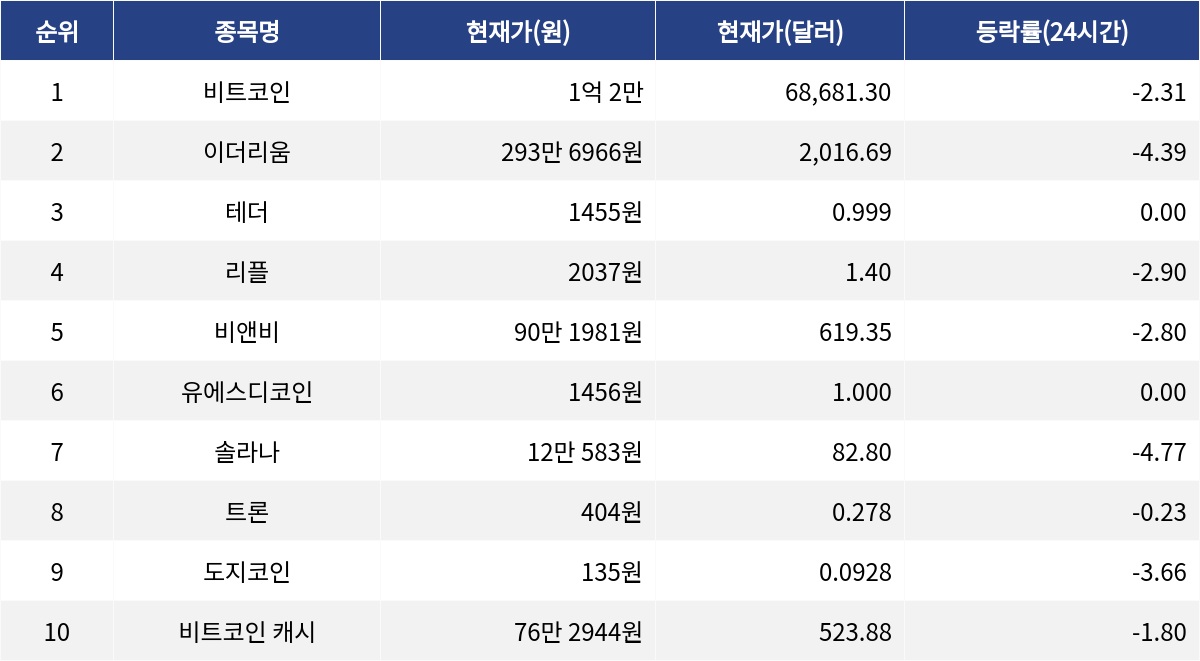 ▲자료제공=MetaVX