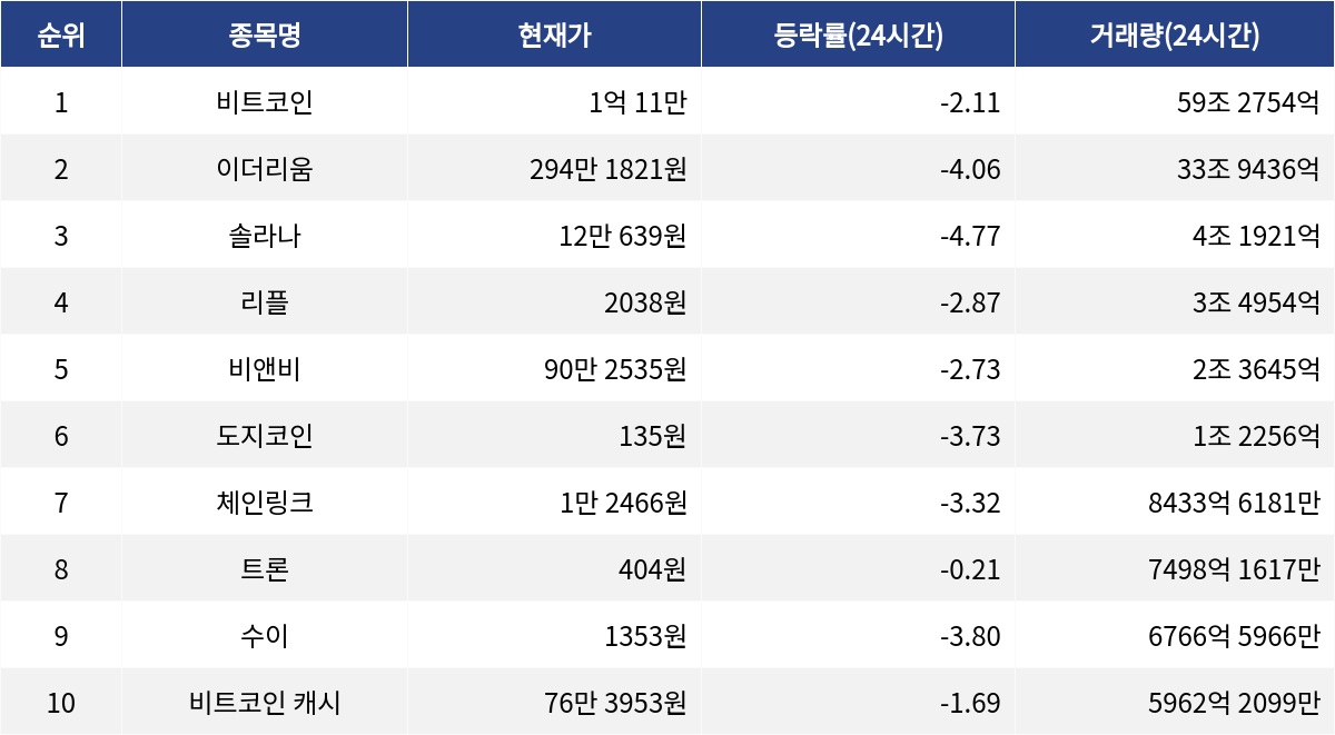 ▲자료제공=MetaVX