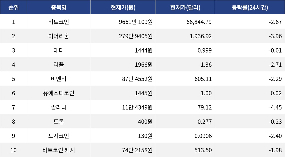 ▲자료제공=MetaVX