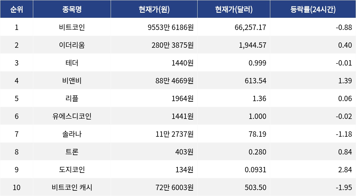▲자료제공=MetaVX