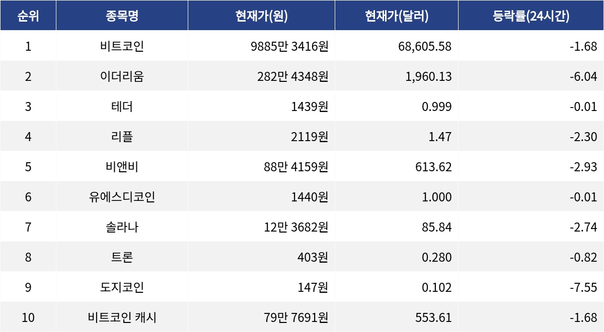 ▲자료제공=MetaVX
