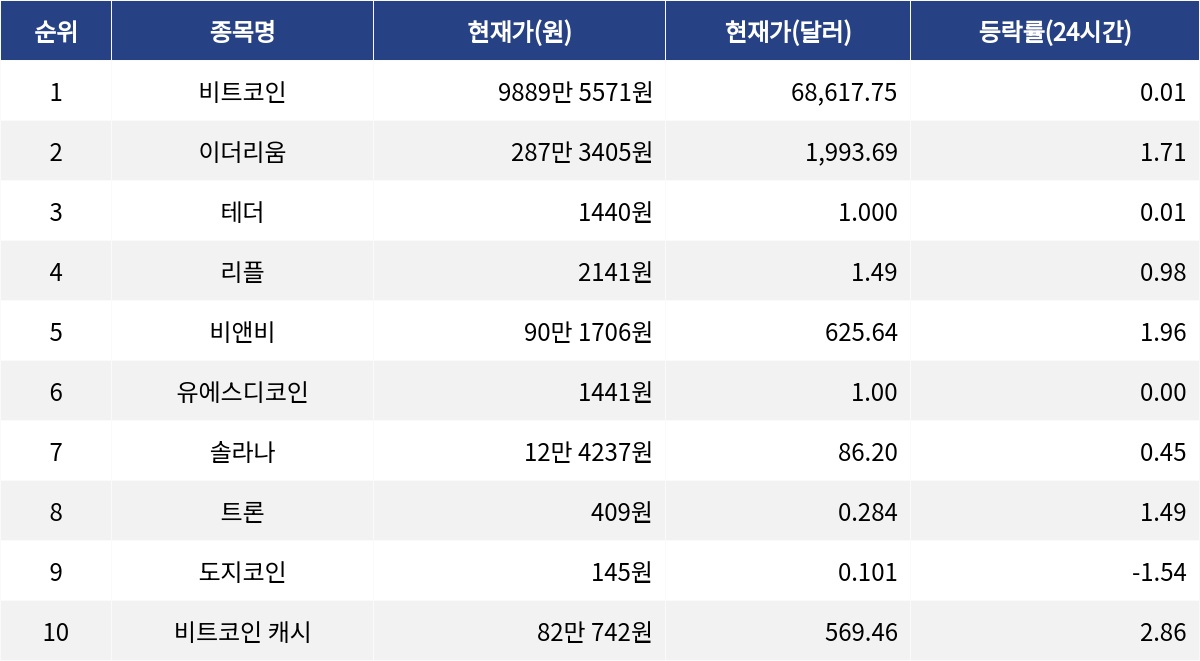 ▲자료제공=MetaVX