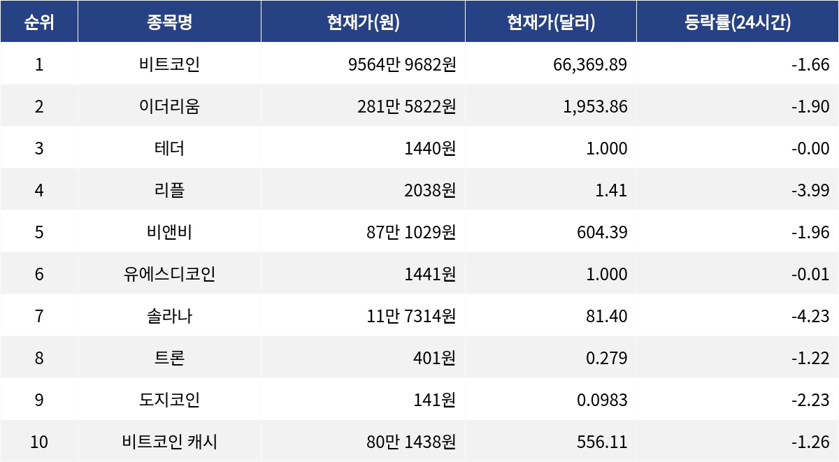 ▲자료제공=MetaVX
