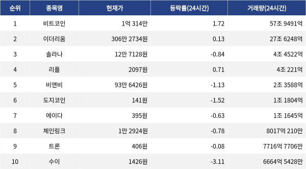 ▲자료제공=MetaVX