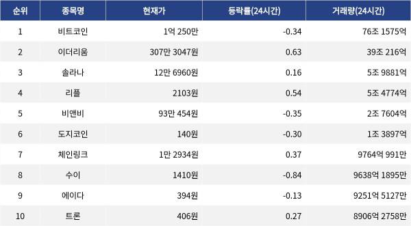 ▲자료제공=MetaVX