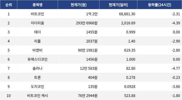 ▲자료제공=MetaVX
