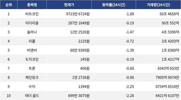 ▲자료제공=MetaVX