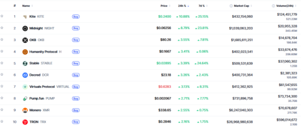 ▲시가총액 TOP 100 가상자산 중 상승률 TOP 10 가상자산 정보 (사진제공=CoinMarketCap)