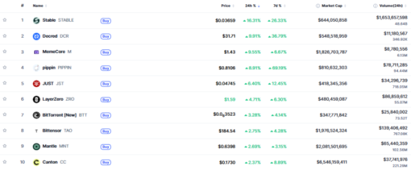 ▲시가총액 TOP 100 가상자산 중 상승률 TOP 10 가상자산 정보 (사진제공=CoinMarketCap)