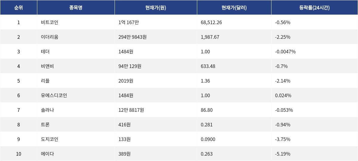 ▲자료제공=MetaVX
