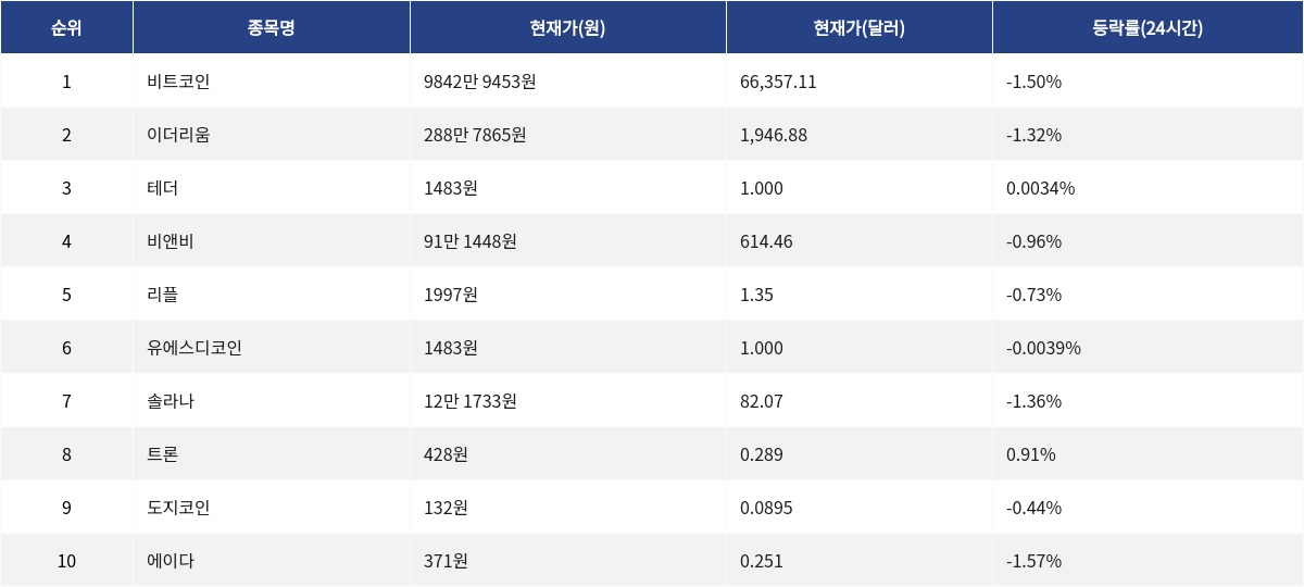 ▲자료제공=MetaVX