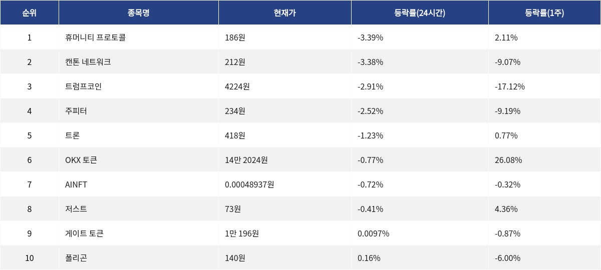 ▲자료제공=MetaVX