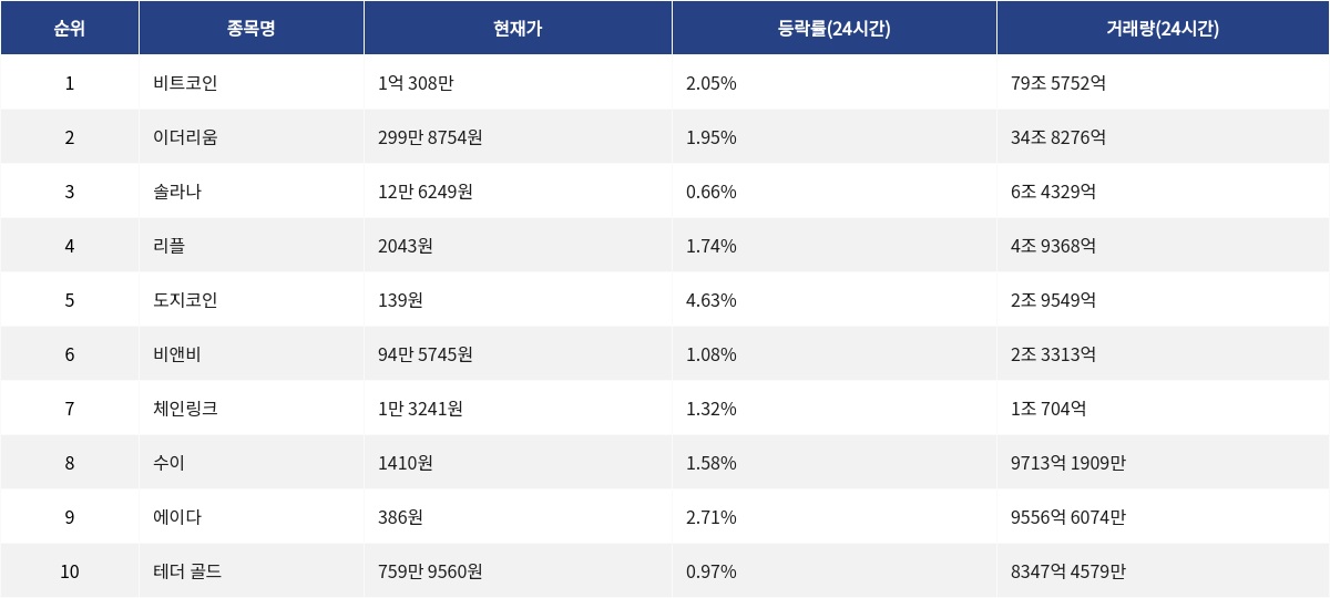 ▲자료제공=MetaVX