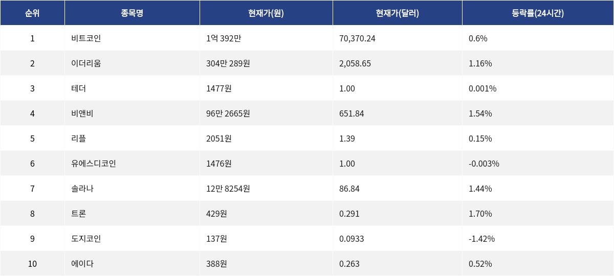 ▲자료제공=MetaVX