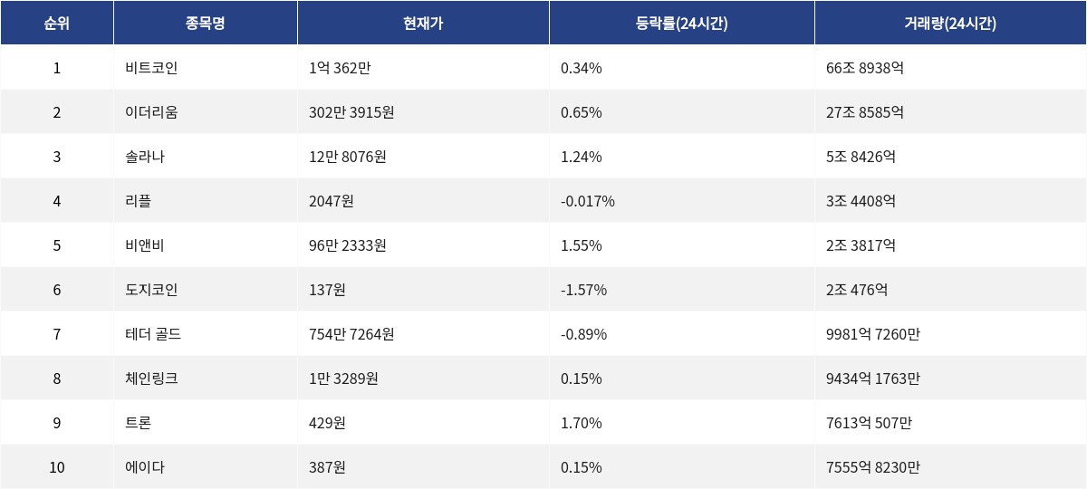 ▲자료제공=MetaVX
