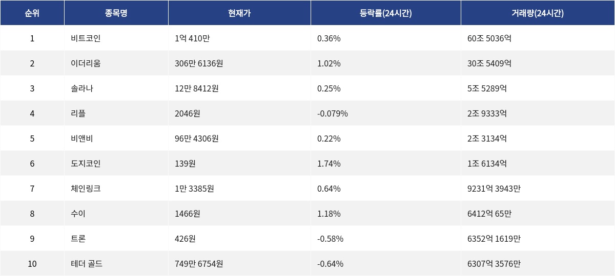 ▲자료제공=MetaVX