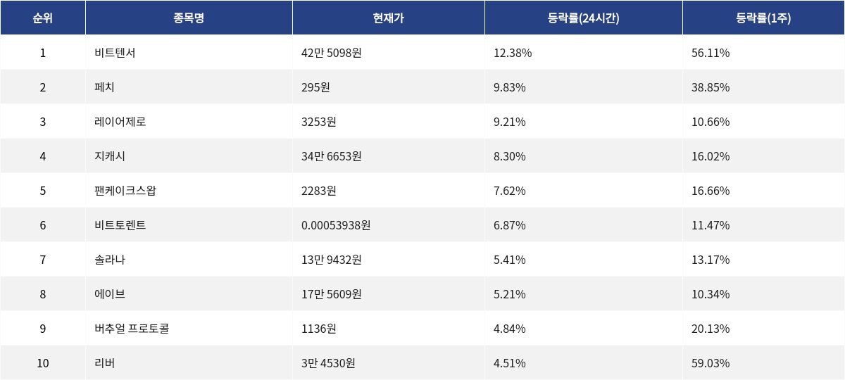 ▲자료제공=MetaVX