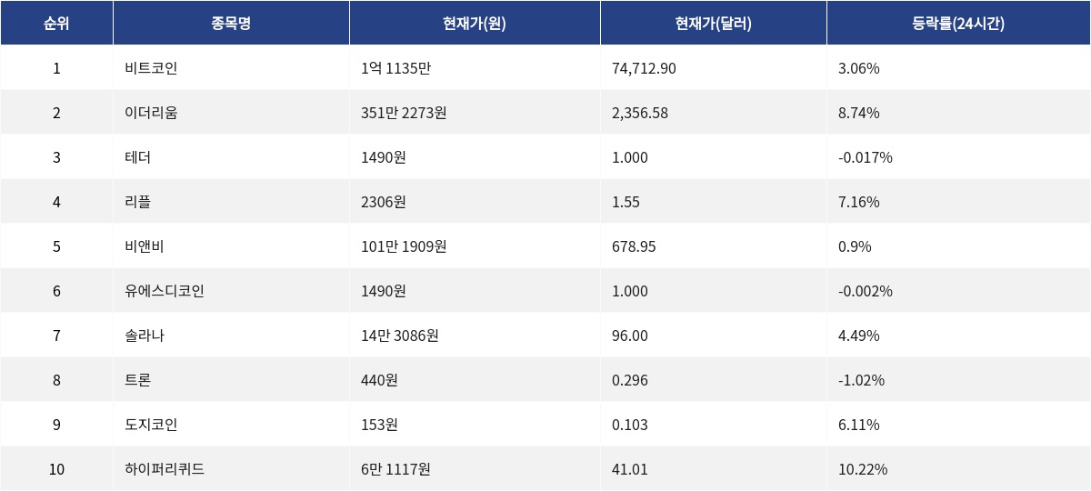 ▲자료제공=MetaVX