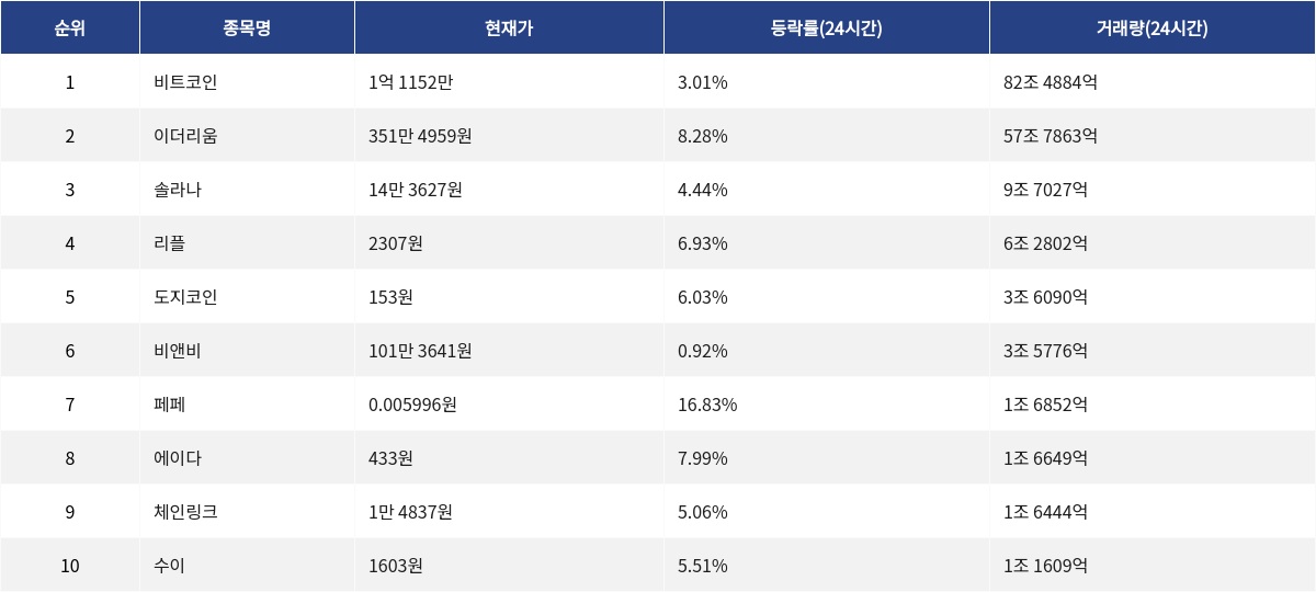 ▲자료제공=MetaVX