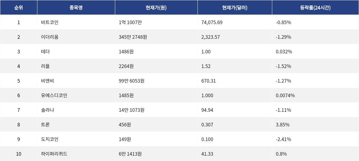 ▲자료제공=MetaVX