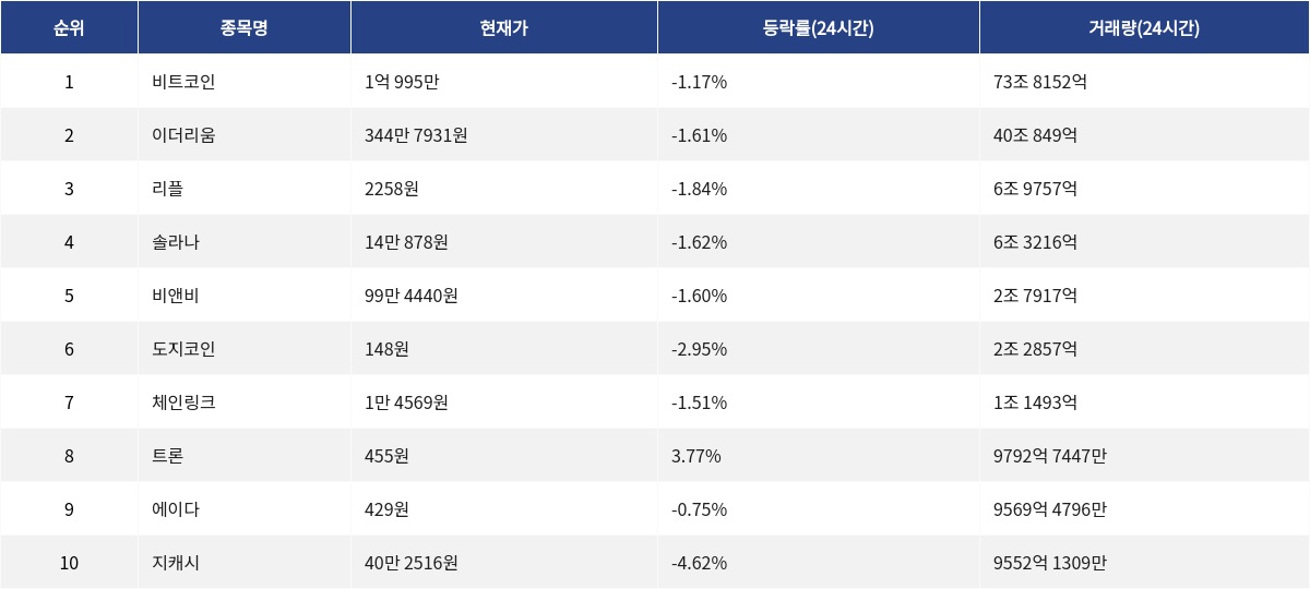 ▲자료제공=MetaVX