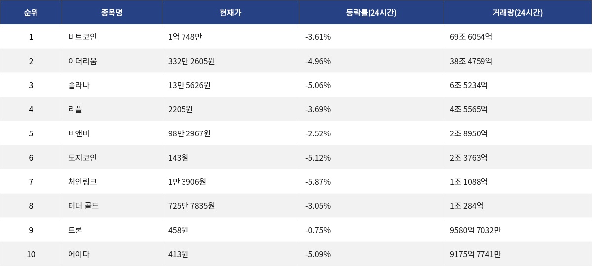 ▲자료제공=MetaVX