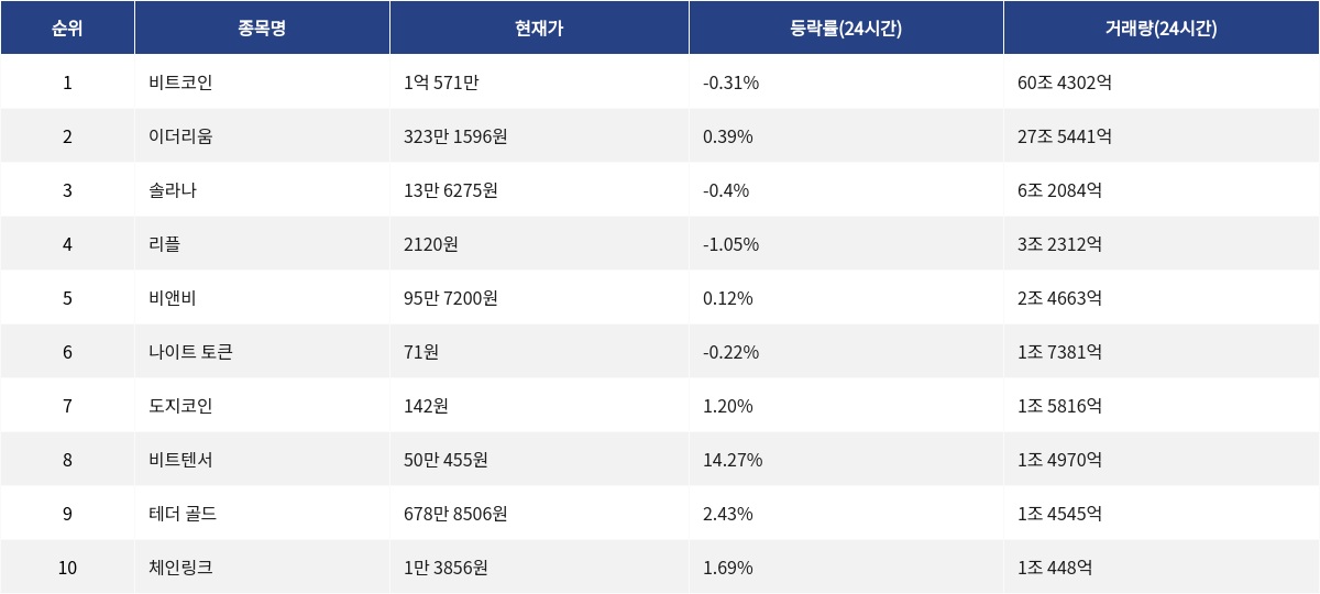 ▲자료제공=MetaVX