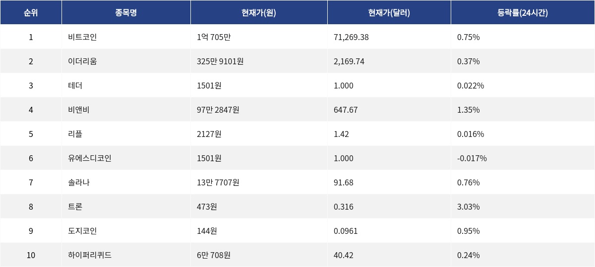 ▲자료제공=MetaVX