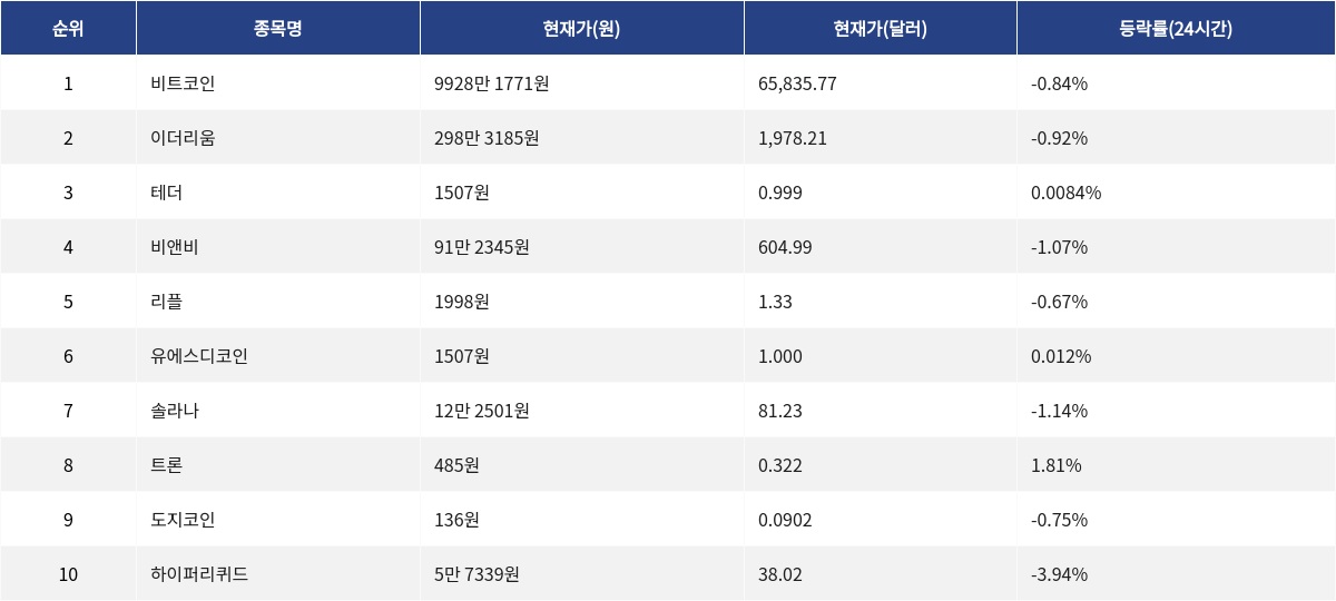 ▲자료제공=MetaVX