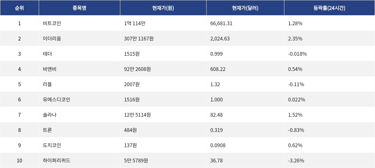 ▲자료제공=MetaVX