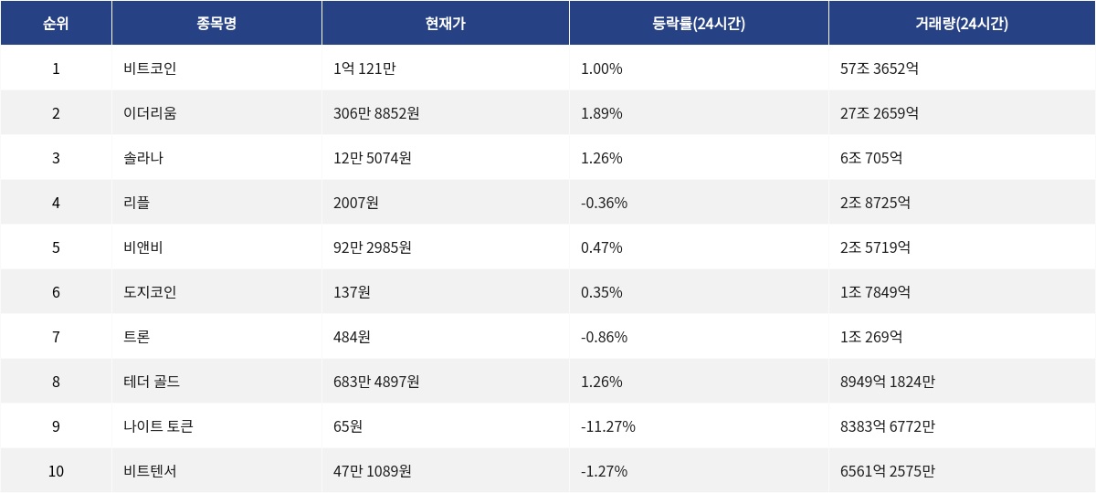 ▲자료제공=MetaVX