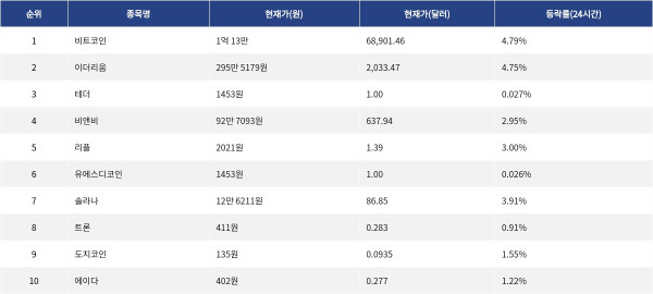 ▲자료제공=MetaVX
