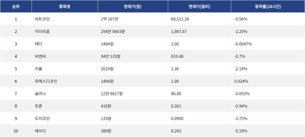 ▲자료제공=MetaVX