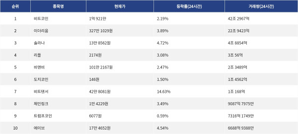 ▲자료제공=MetaVX