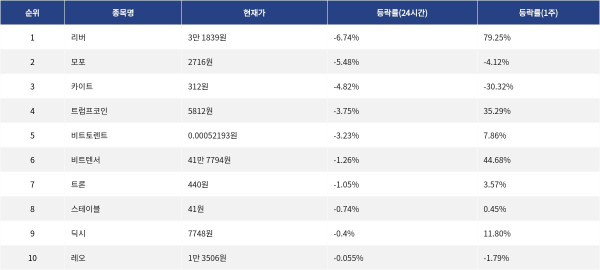 ▲자료제공=MetaVX