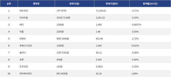 ▲자료제공=MetaVX