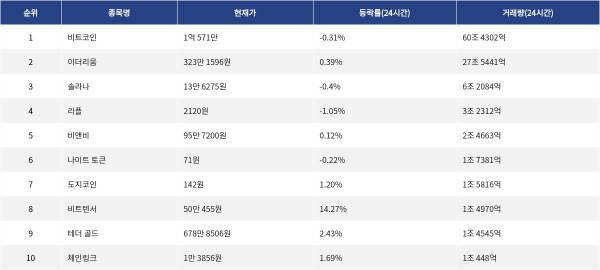 ▲자료제공=MetaVX