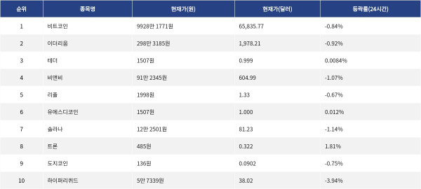 ▲자료제공=MetaVX