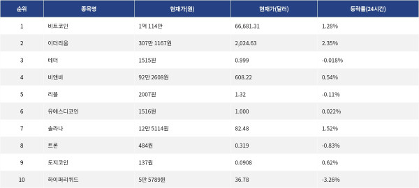 ▲자료제공=MetaVX