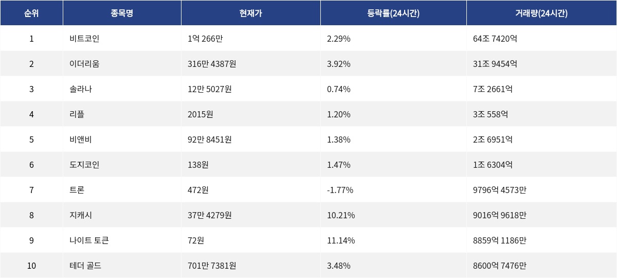 ▲자료제공=MetaVX