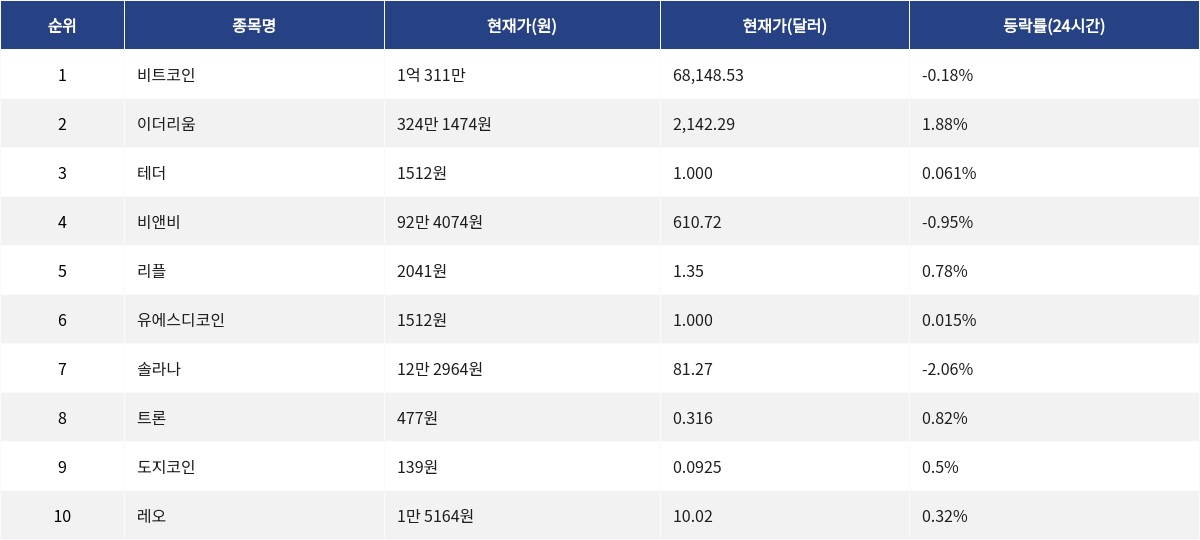 ▲자료제공=MetaVX