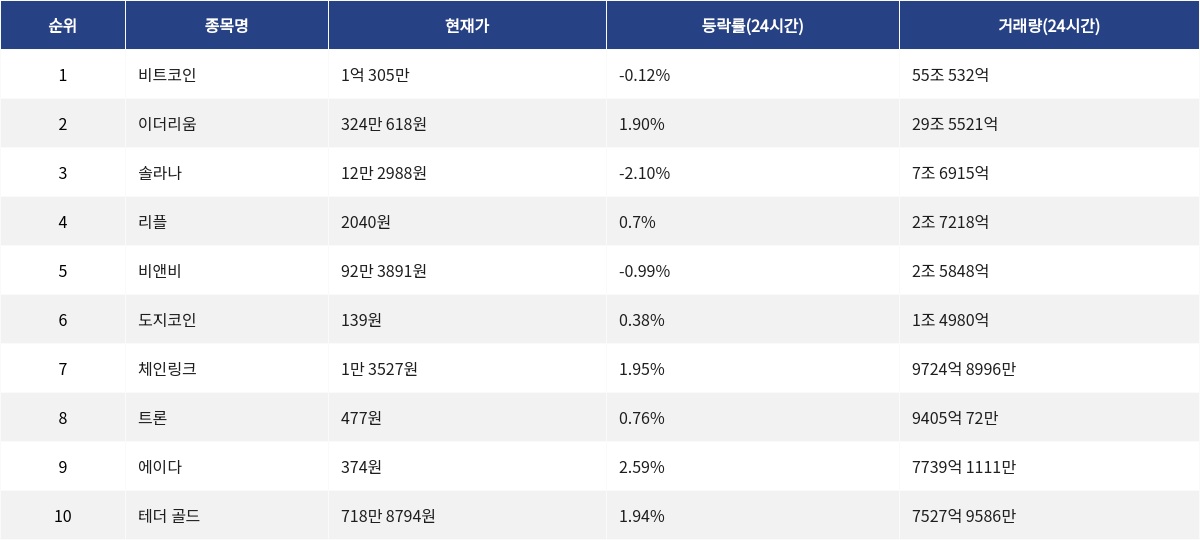 ▲자료제공=MetaVX