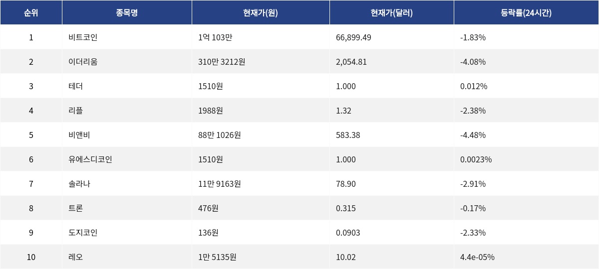 ▲자료제공=MetaVX