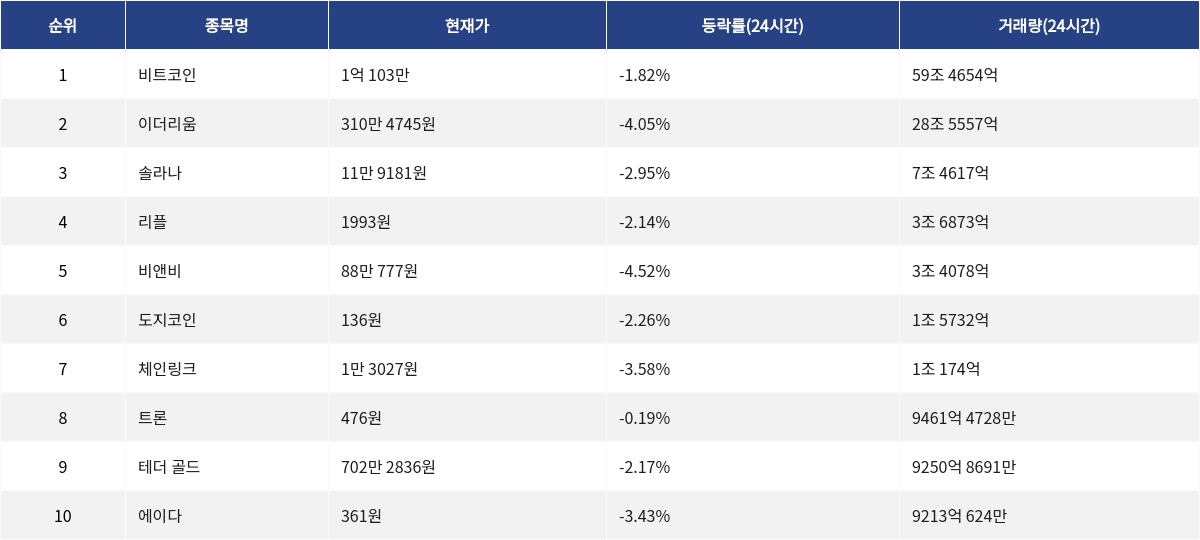 ▲자료제공=MetaVX