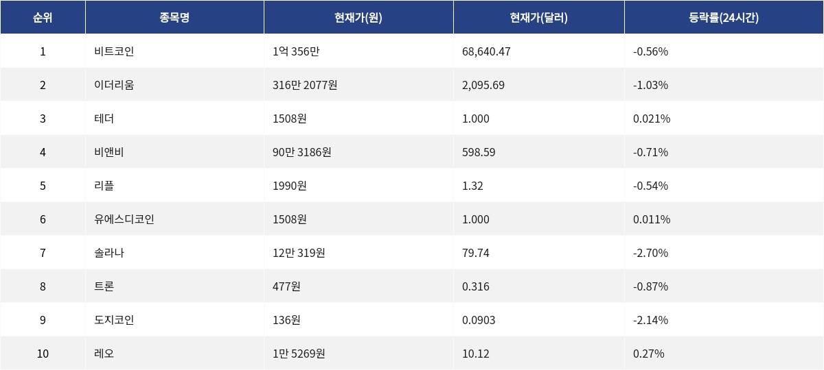 ▲자료제공=MetaVX