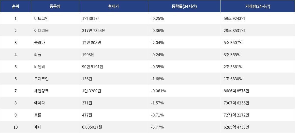 ▲자료제공=MetaVX