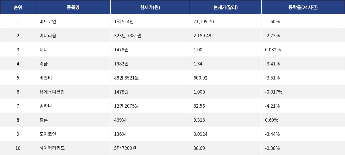 ▲자료제공=MetaVX