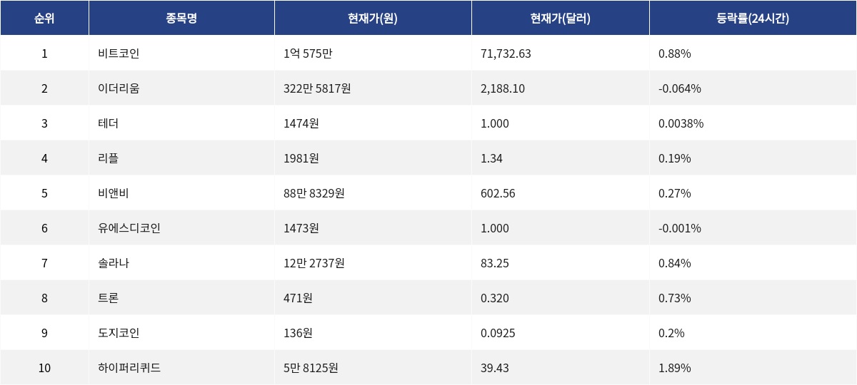 ▲자료제공=MetaVX